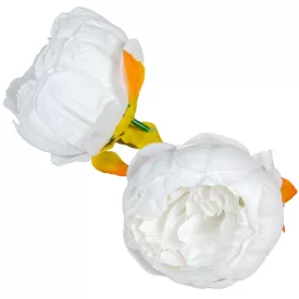Peónia virágfej D8cm 12db/csom fehér 100