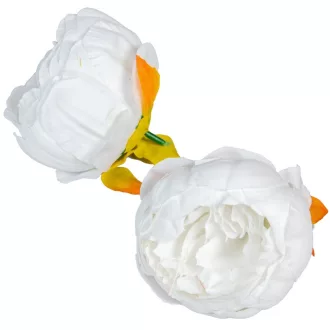 Peónia virágfej D8cm 12db/csom fehér 100
