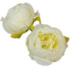 Peónia virágfej D8cm 12db/csom krém 300