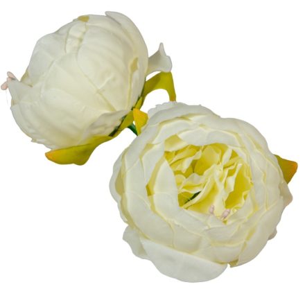 Peónia virágfej D8cm 12db/csom krém 300