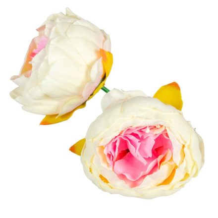 Peónia virágfej D8cm 12db/csom vanilia rózsaszín 303