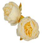 Peónia virágfej D8cm 12db/csom ivory 310