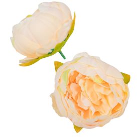 Peónia virágfej D8cm 12db/csom barack 925A