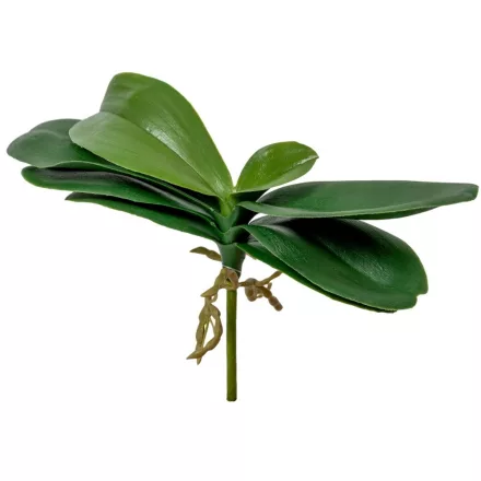 Orchidea levél M18cm