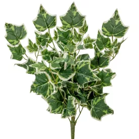 Futó borostyán M53cm