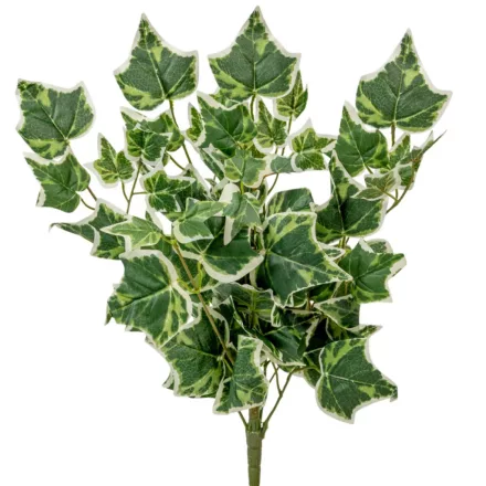 Futó borostyán M53cm