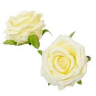 Rózsa virágfej bársony hatású D8cm krém 24db/csom