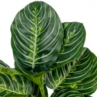 Bokor cserepezhető M42cm