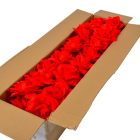 Rózsa virágfej nyílt D10cm 400 60db/#