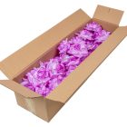 Rózsa virágfej nyílt D10cm 806 60db/#