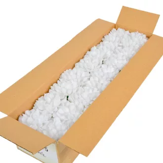 Krizantém virágfej fehér D11cm 36db/#