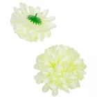 Krizantém virágfej szatén krém D11cm 36db/#