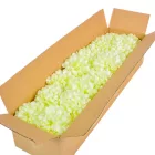 Krizantém virágfej szatén krém D11cm 36db/#