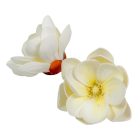 Magnólia virágfej polifoam D10cm 12db/csom