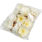 Magnólia virágfej polifoam D10cm 12db/csom