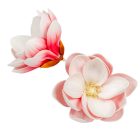 Magnólia virágfej polifoam D10cm 12db/csom