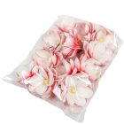 Magnólia virágfej polifoam D10cm 12db/csom