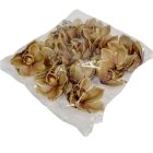 Orchidea virágfej polifoam D10cm capuccino 24db/csom