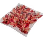 Orchidea virágfej polifoam D10cm salmon 24db/csom