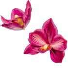 Orchidea virágfej polifoam D10cm sötétrózsaszín 24db/csom