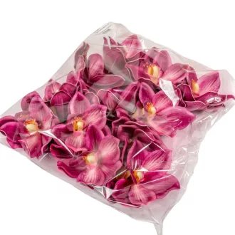   Orchidea virágfej polifoam D10cm sötétrózsaszín 24db/csom