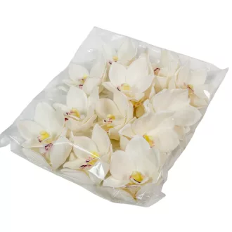 Orchidea virágfej polifoam D10cm cr 24db/csom