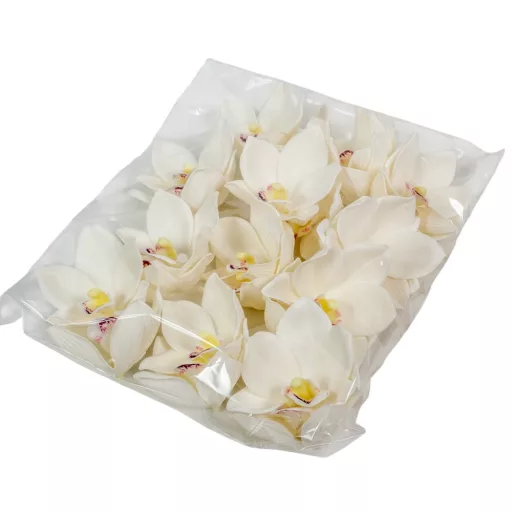 Orchidea virágfej polifoam D10cm cr 24db/csom