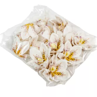 Orchidea virágfej polifoam D10cm fehér 24db/csom
