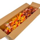 Orchidea virágfej polifoam D7cm 72db/#