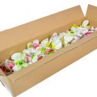 Orchidea virágfej polifoam D7cm 72db/#