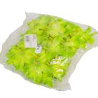 Orchidea virágfej mini D7,5cm 30db/csom