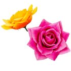 Rózsa virágfej D12cm mix 72db/#