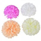 Krizantém virágfej mix D15cm 24db/csom
