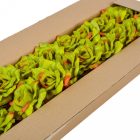 Rózsa virágfej D10cm 321 60db/#