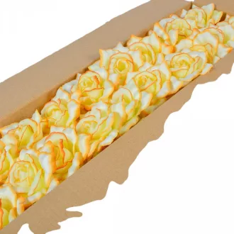 Rózsa virágfej D10cm 924 60db/#
