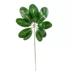 Levél M39cm 12db/köteg 240db/#