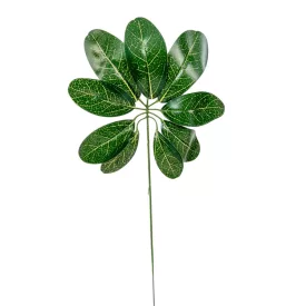 Levél M39cm 12db/köteg 240db/#