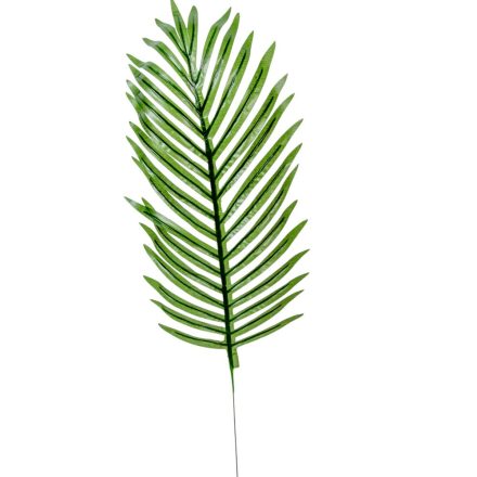 Pálma levél M50cm 144db/#