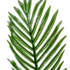 Pálma levél M50cm 144db/#