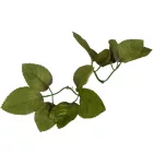 Rózsa levél sötétzöld 16cm 120db/csom 2400db/#