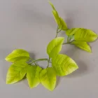 Rózsa levél zöld 16cm 120db/csom 2400db/#