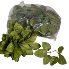 Rózsa levél sötétzöld 16cm 120db/csom 2400db/#