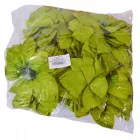 Rózsa levél zöld 16cm 120db/csom 2400db/#