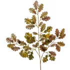 Tölgy ág M58cm 12db/köteg 48db/#