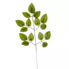 Rózsa leveles ág M45cm 12db/csom