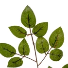 Rózsa leveles ág M45cm 12db/csom