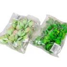 Kövirózsa M8cm 12db/csom