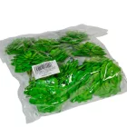 Kövirózsa D6,5cm 12db/csom