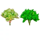 Kövirózsa M10cm 48db/#