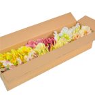 Asztromélia virágfej D8cm 120db/#